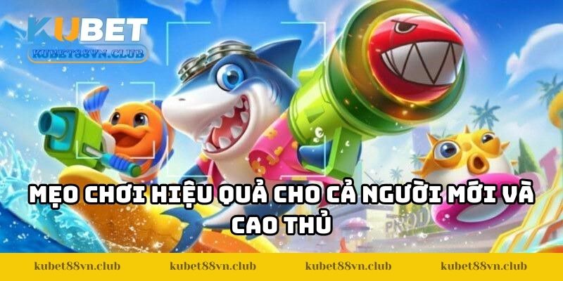 Mẹo chơi hiệu quả cho cả người mới và cao thủ